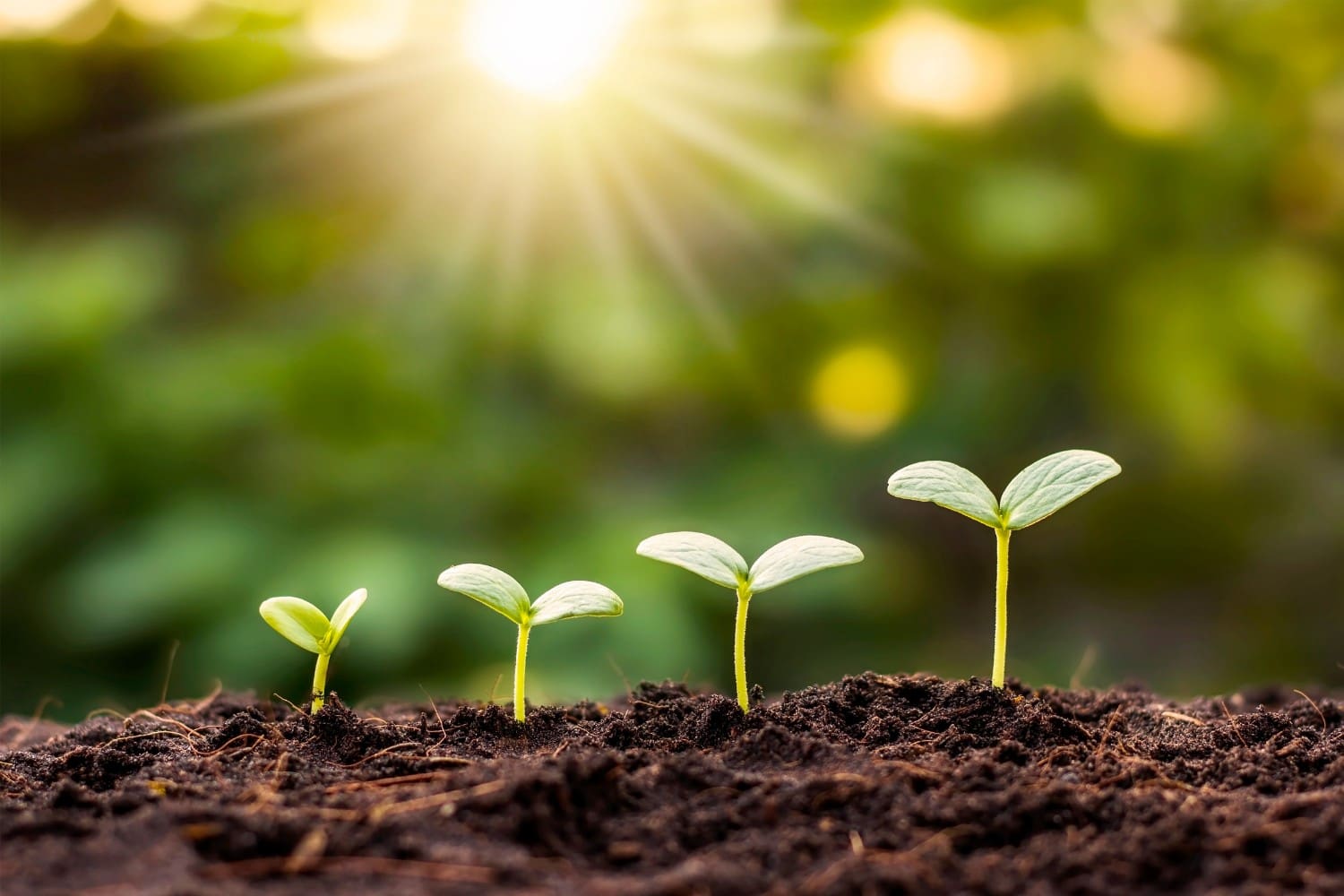 Growing into leadership with confidence